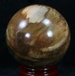 Colorful Petrified Wood Sphere #34314-1